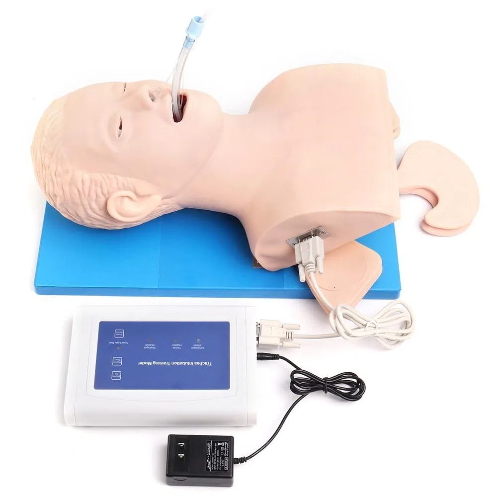 Modelo de intubación para Adultos con laringoscopio y Controlador para Entrenamiento Emergencia en manejo vía aérea orofaríngea, Modelo anatómico con Dientes y Alarma de presión, Modelo