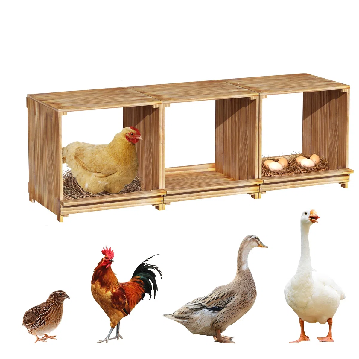 BingoPaw Ponederos para Gallinas de Pino 105x30x36cm, Gallinero para Exterior 3 Gallinas hasta 3.5 Kilos, Gallinero Madera Impermeable Resistente a la Humedad Duradero, Nidal de 3 Huecos
