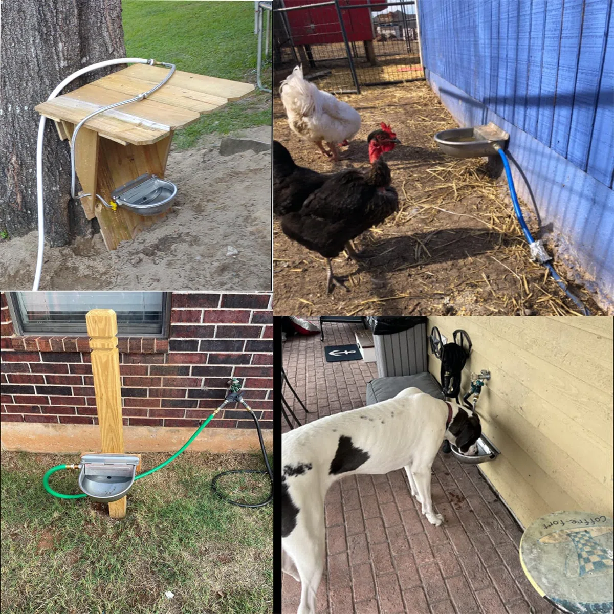 Bebedero Automático para Perros, Bebedero de Acero Inoxidable 304 para Perros, Caballos, Cabras, Cerdos y Vacas, con Válvulas de Flotador Ajustable de 1/2 Pulgada