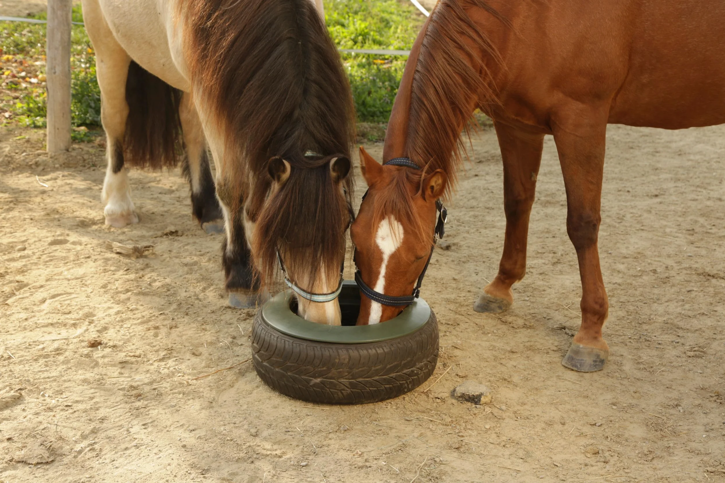 Kerbl Tyre Trough 15 Litre